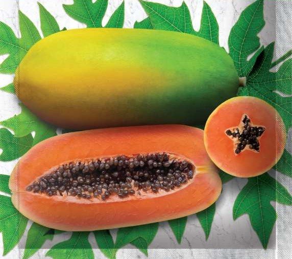 Pepaya