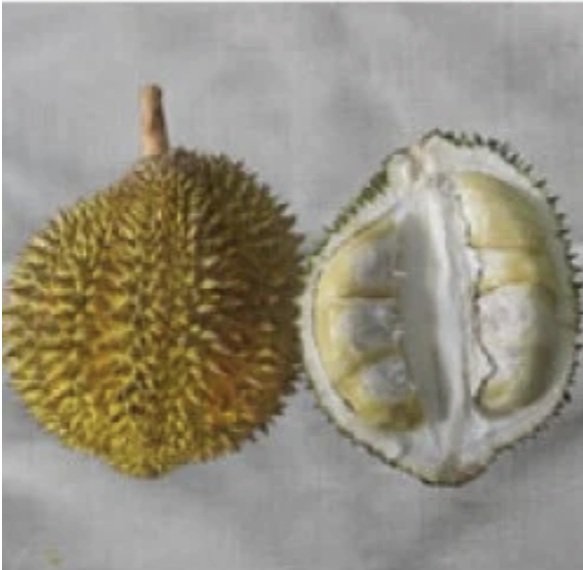 Durian Matahari_02