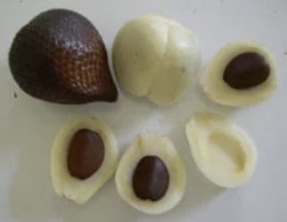 Salak Sari Intan