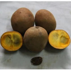 Burahol