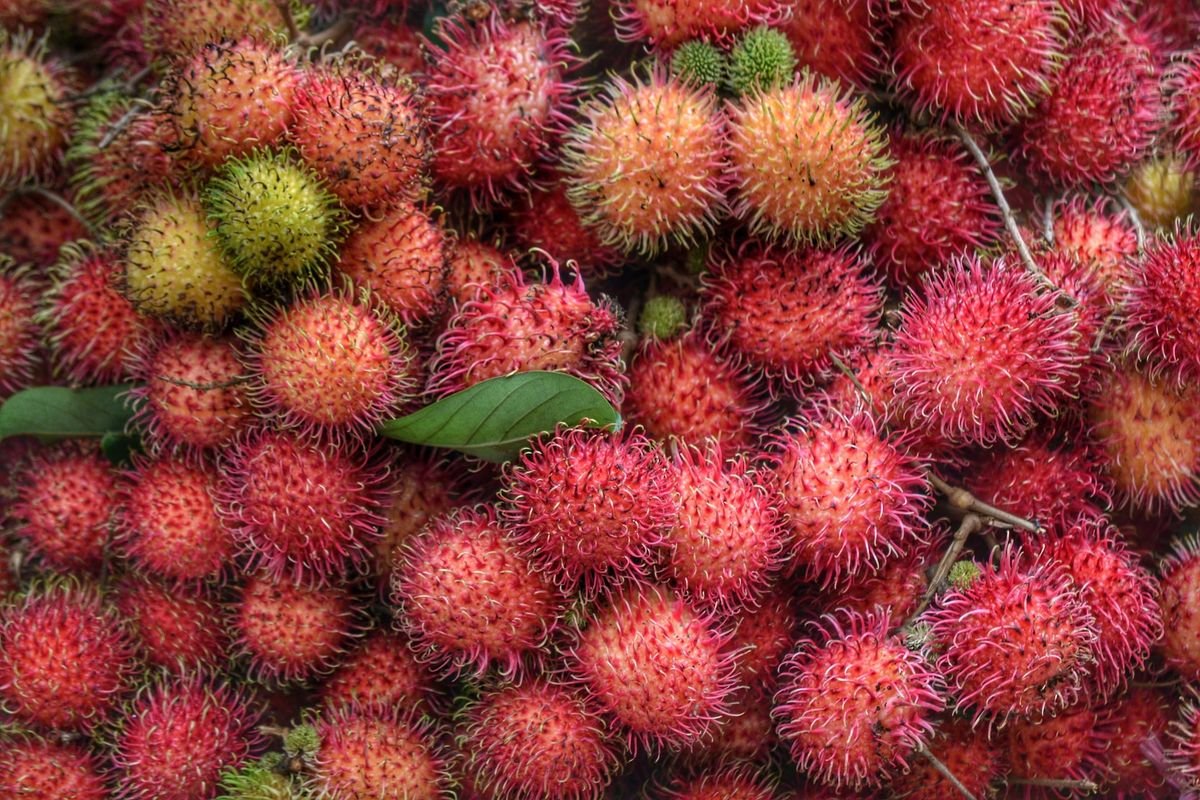 Binjai